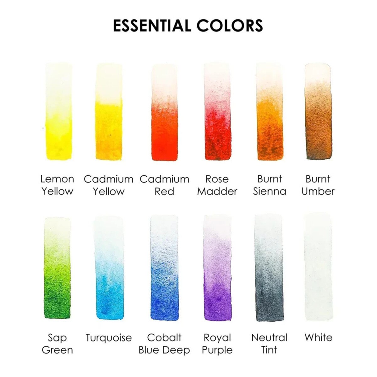 Watercolor Pocket Set Essential Colors